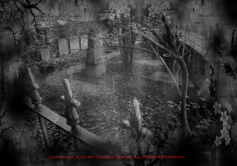 DIARY OF A GRAVE ROBBER